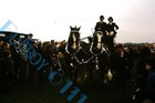 Bild 9 von 12