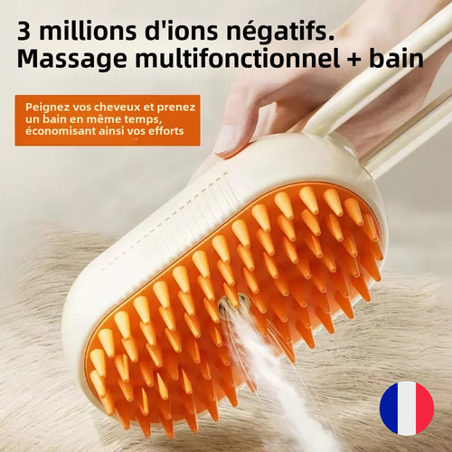 Brosse à Vapeur Électrique pour Chat Chien Pulvérisation d'Eau Peigne Animaux FR - 第 4/9 張圖片