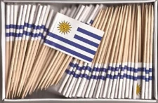 One Box of 100 Uruguay Toothpick Flags, 100 Small Mini International Flags