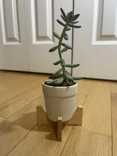 Wooden Small Plant Stand
