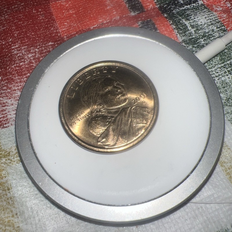 2001-D Sacagawea Dollar Coin