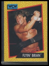 1991 Impel WCW #59 Brian Pillman