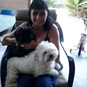 House Sitting In Central Coast Nsw Region Nsw Sitting Gumtree Australia Free Local Classifieds