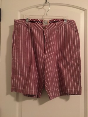 Old School Brand Men's Striped Casual Shorts Size 34 Multi-Color