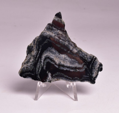 MICROBIALITE, ISUA BANDED IRON SLICE, 3.77 B.Y.A Southwestern Greenland S181