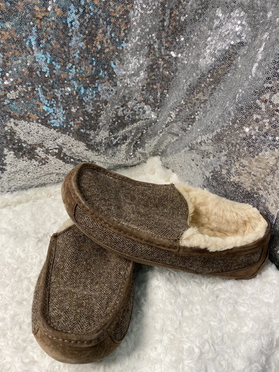 Ugg clearance ascot tweed