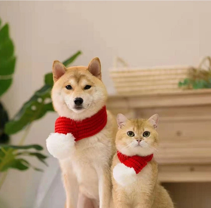 Dog scarf collar deals
