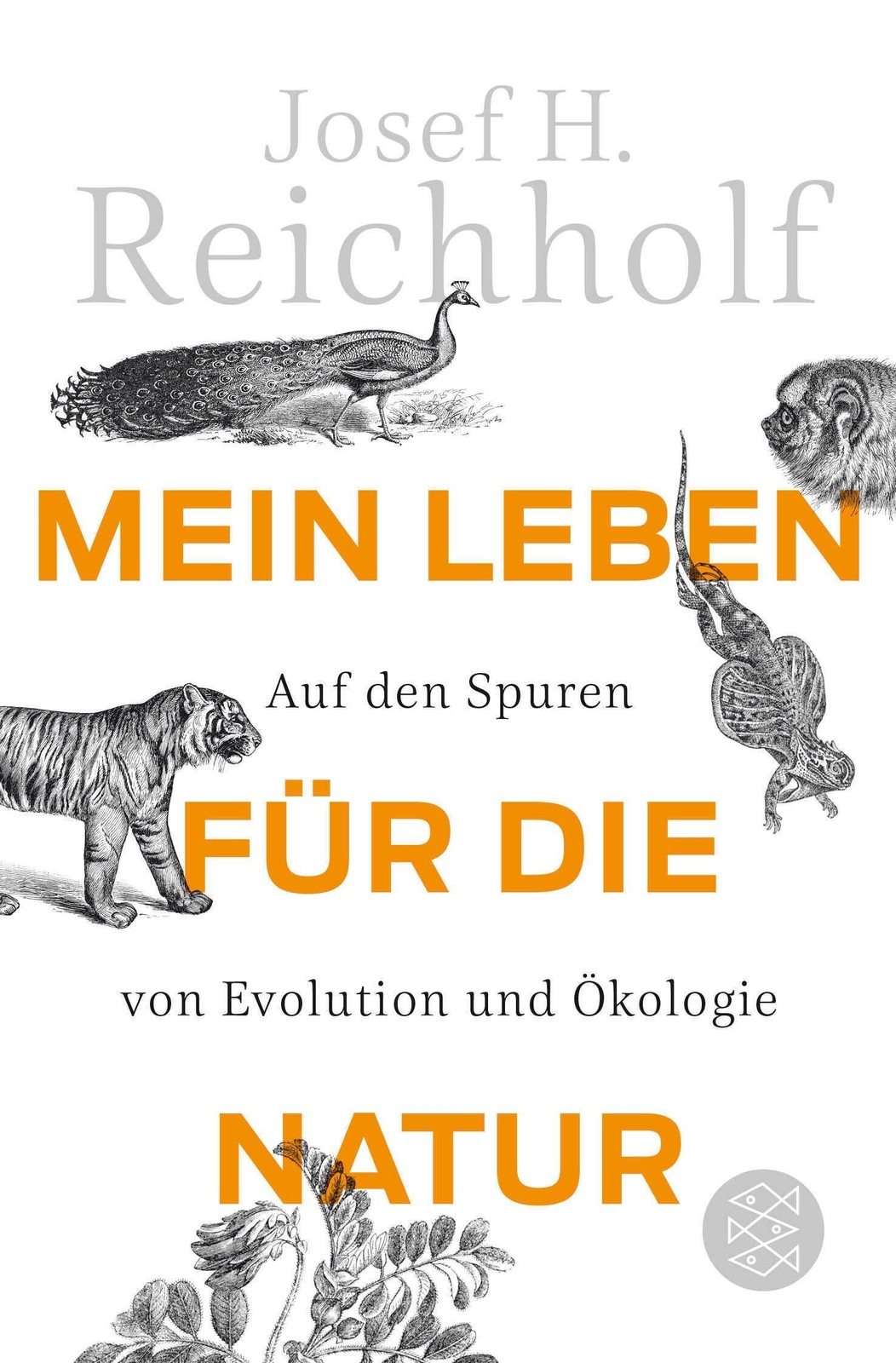 Thumbnail - Mein Leben Für Die Natur Auf Den Spuren Von Evolution Und Ökologie