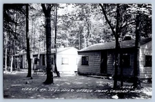 Gaylord Michigan MI Weeds Idylwild Ostego Lake Real Photo Postcard RPPC 1930-50