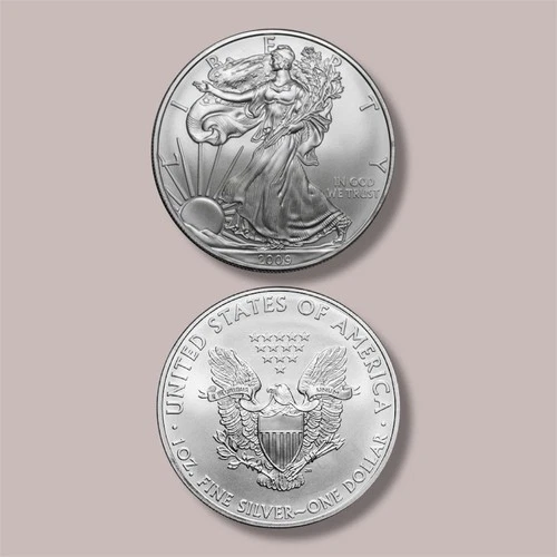 Pre Owned 2009 - 1 oz American Silver Eagle Coin - One Troy oz .999 Bullion-B1