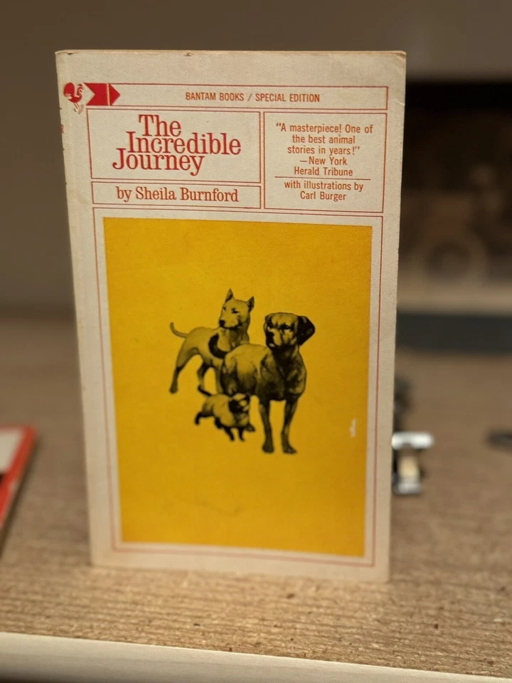 First Edition Classic Titles, Graphic Novels, Comic Books, and Bruce Lee - Image 4 of 4