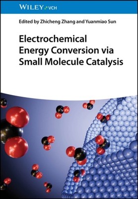 Electrochemical Energy Conversion Via Small Molecule by Zhicheng Zhang HARDBACK