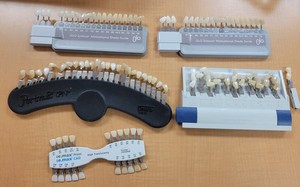 Dental Shade Guide Lot VITA Portrait GLO ie max cad Used