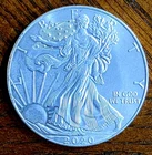 1 oz .999 Fine Silver Round  Lady Liberty