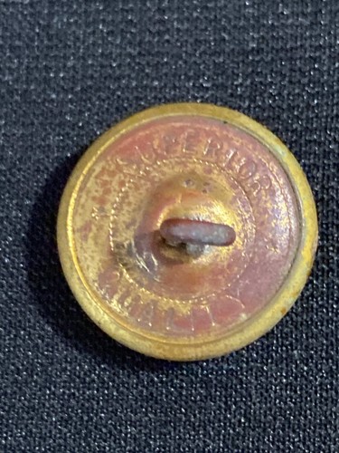 Sigillo di Stato del New Mexico Bottone Oro Cupola Misura 15/16” Qualità Superiore Milizia - Foto 5 di 6