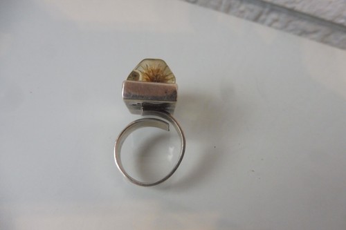 Silberring , 925 Silber mit eingegossenen Pflanzen , ausgefallener , alter Ring - Bild 3 von 7