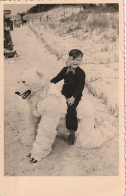 Photo postcard pretty boy with polar bear humanized polar bear Zingst Rügen
