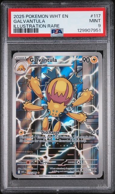 2025 Pokemon Wht En-White Flare #117 Galvantula Illustration Rare PSA 9