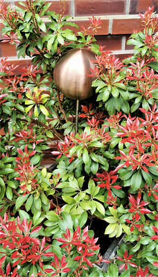 Rosenkugel 10 cm Edelstahl golden rose matt gebürstet mit Stab 80 cm