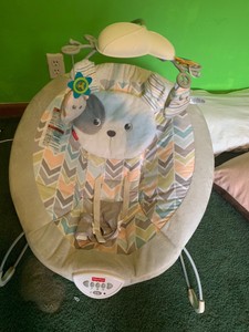 my little snugapuppy deluxe bouncer