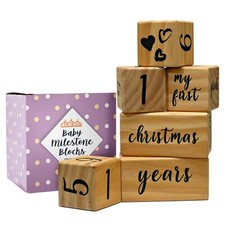 Baby Monthly Milestone Blocks Complete Set Milestone Blocks for Baby Girl Bab...