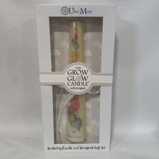 Uber Mom The Grow and Glow Candle  Storybook by Amy Goff and Lisa Anne Kleine
