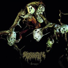 Sparagmos (Jewel Case) - Spectral Voice (Audio Cd)