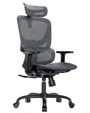 Ergonomic Mesh Office Chair with 5-Level Lumbar Support, Computer Chair with ...