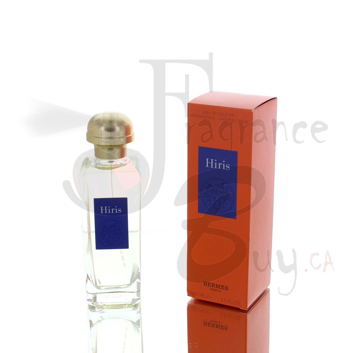 Hermes Hiris Edt W 100ml Boxed | eBay