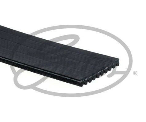 10PK1445HD KEILRIEMEN KEILRIPPENRIEMEN GATES NEU OE QUALITÄT - Bild 3 von 6