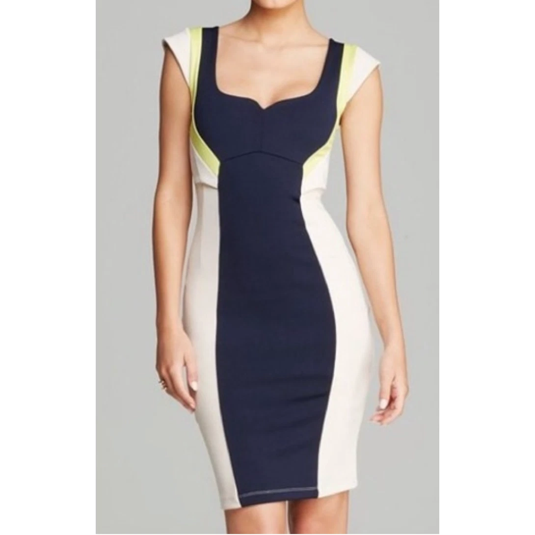 French connection 2025 colorblock dress