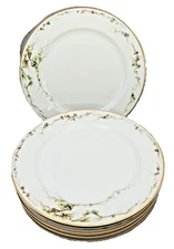 Vintage Haviland & Co. Limoges Schleiger 432 Arbor Vines Plates, Set of 6