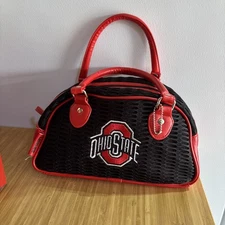 Ohio State University Stadium Stretch Purse by Alan Stuart New York  11x6x5” 