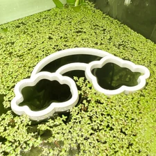 Fish Feeding Portal (Rainbow) | Beta Training, Feeding Corral