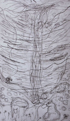 Amelia Firth - 2012 Radierung, Hardraw Force Wasserfall Iii