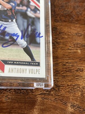 2019 Panini Anthony Volpe auto 直筆サイン　シリ 2019 Panini Anthony Volpe auto 直筆サイン シリ 2019 Panini