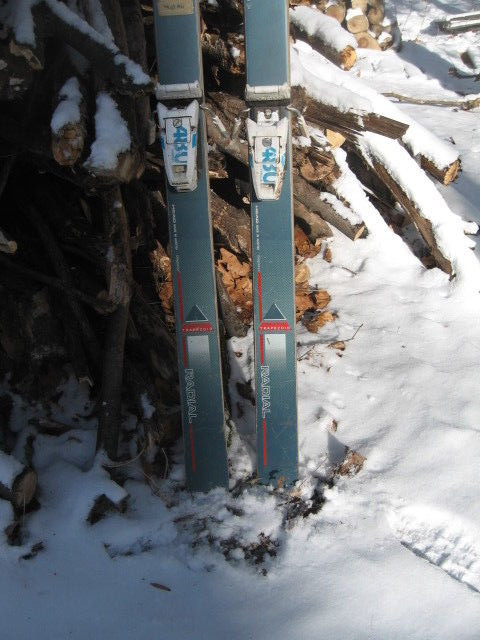 Head 195 Radial Carbon Trapezoid Skis Tyrolia 480 Bindings