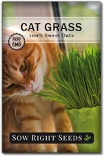 Cat Grass Seeds for Indoor – Hierba Dulce para Gatos, 100% Avena, Grow Kit