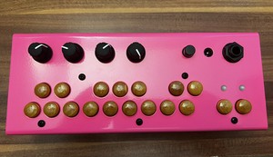 Critter Guitari | eBay