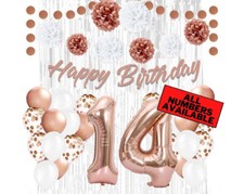Rose Gold 14th Birthday Decorations for Girls - 40" Number Balloons  More