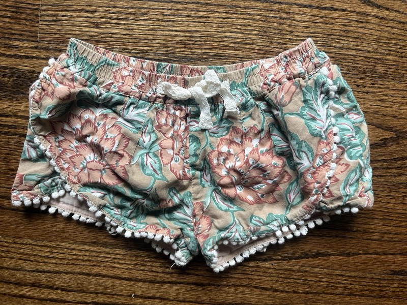 Louise Misha Floral Shorts Size 6