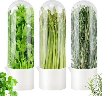 Cilantro Container for Fridge   Herb Keeper & Saver, Keeps Greens Fresh 2-3 Week