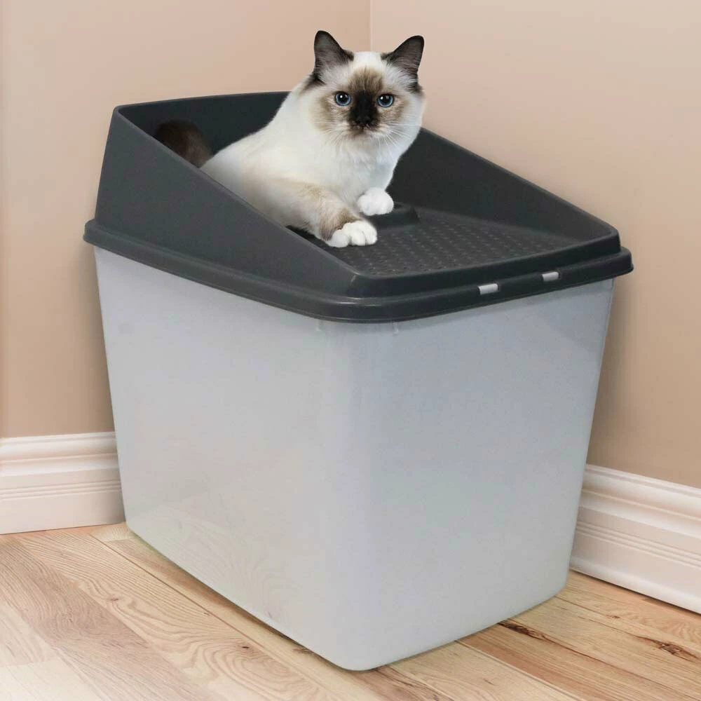 Hide away top litter box