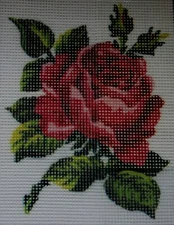 "Red Rose" Printed Needlepoint Tapestry  Kit  3146K