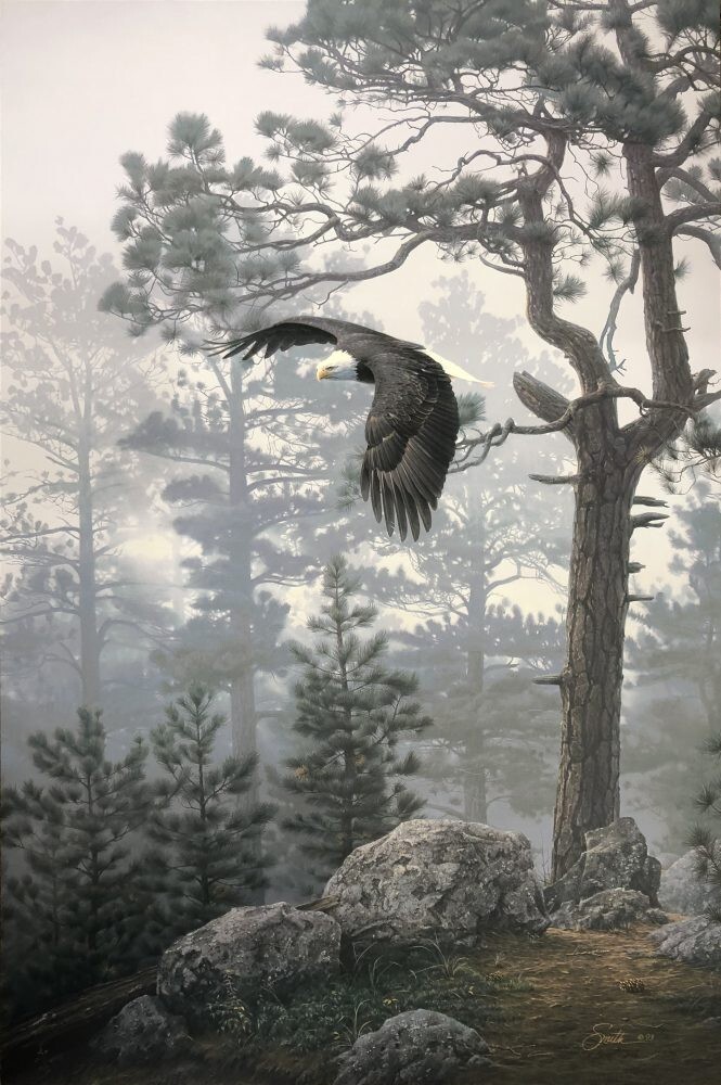 Forestman works】Eagle touch the sky Forestman works】Eagle touch