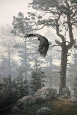 Daniel SMITH Shrouded Forest Bald Eagle Signed Limited Edition Rigiclee art NS