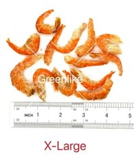 Greenlike Dried X-Large Shrimp Shelling Shrimp