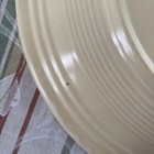 Vintage Fiestaware Ivory Platter 14”Hlc Homer Laughlin Usa — photo 5