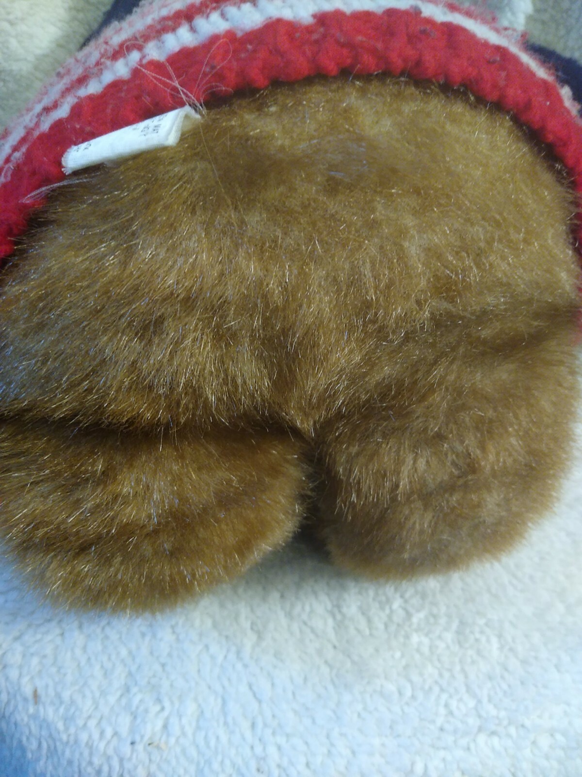 Picture 11 of 11