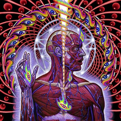 TOOL Lateralus BANNER 3x3 Ft Fabric Poster Tapestry Flag album